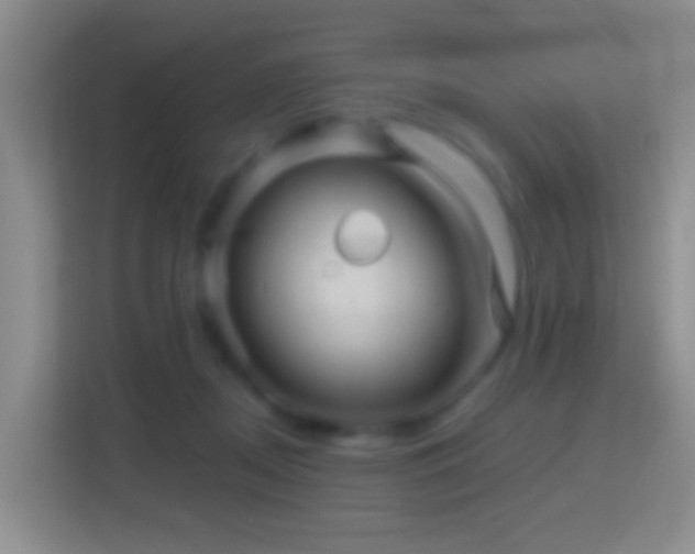 X0000114430362200910231238