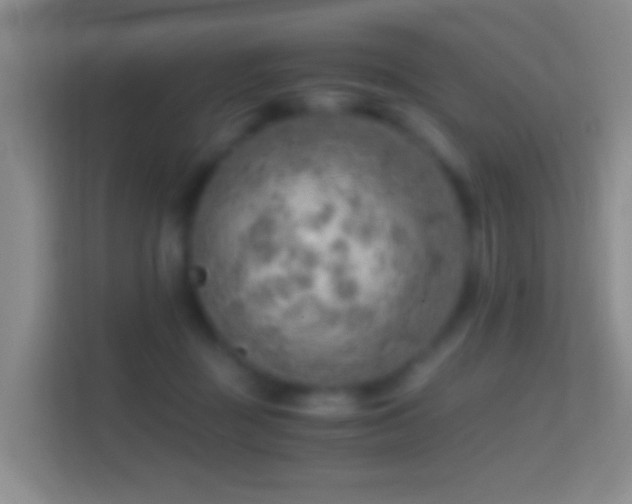 X0000114430363200910231238