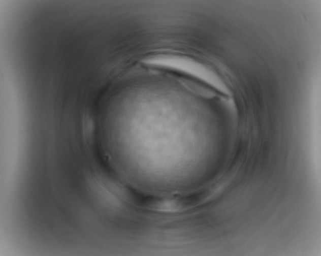 X0000114430365200910231238