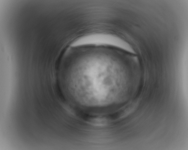 X0000114430366200910231238
