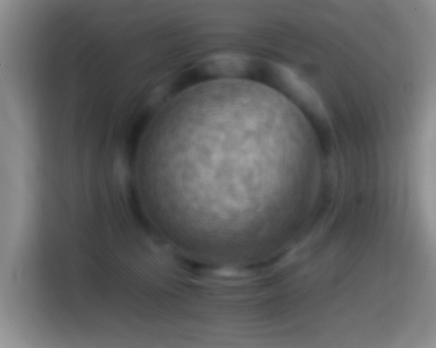 X0000114430371200910231238