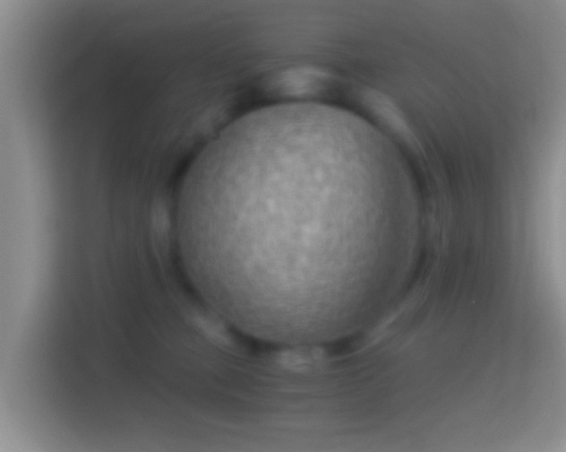X0000114430373200910231238