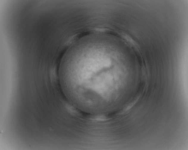 X0000114430377200910231238
