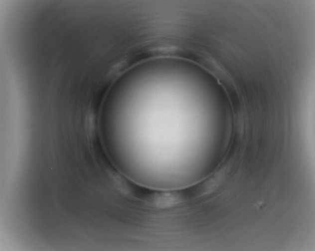 X0000114430378200910231238