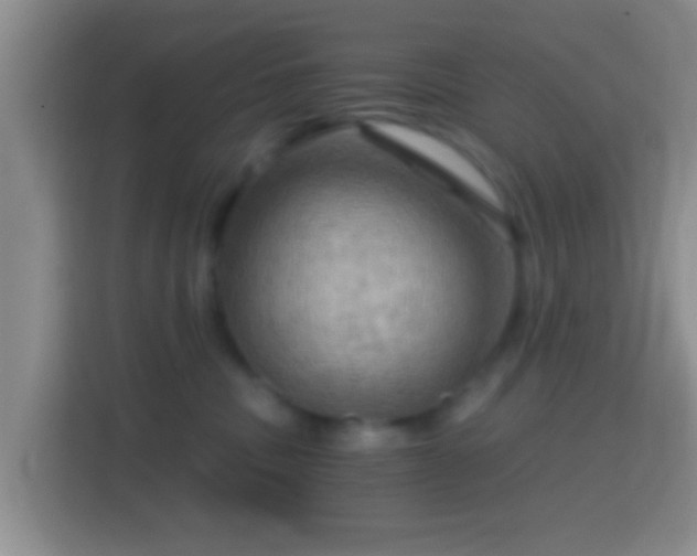 X0000114430379200910231238