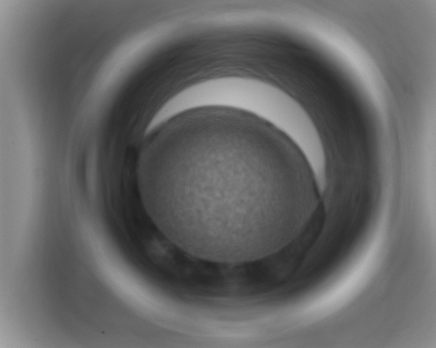 X0000114430382200910231238