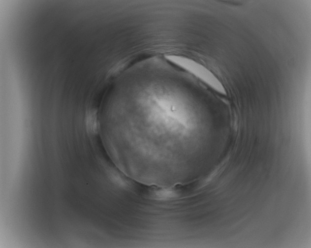 X0000114430383200910231238