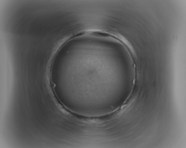 X0000114430385200910231238