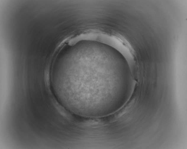 X0000114430386200910231238