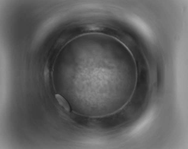 X0000114430387200910231238