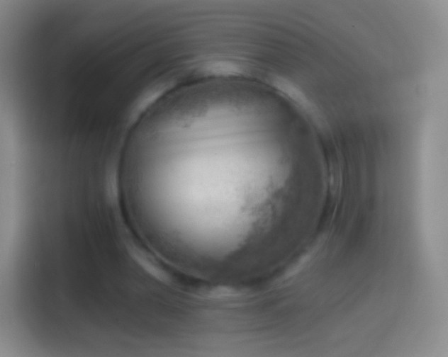 X0000114430390200910231238