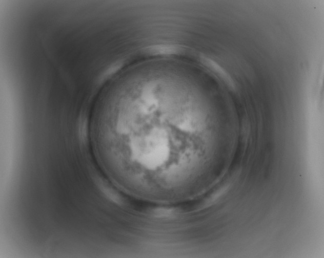 X0000114430394200910231238