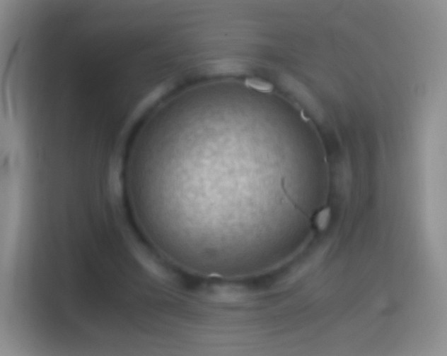 X0000114430395200910231238