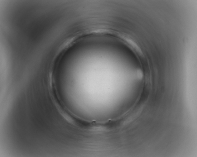 X0000114430397200910231238