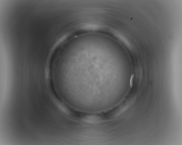 X0000114430399200910231238