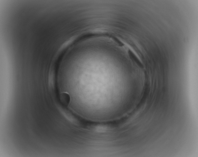 X0000114430400200910231238