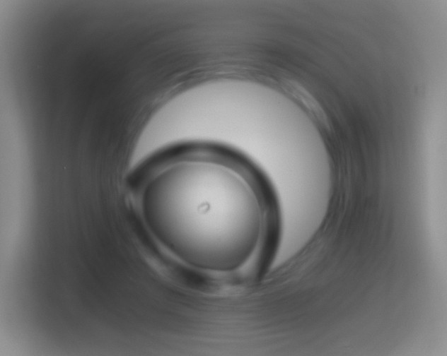 X0000114430401200910231238