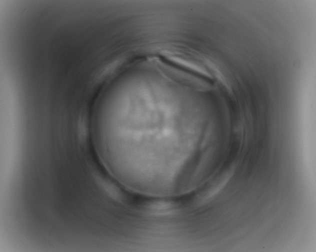 X0000114430402200910231238