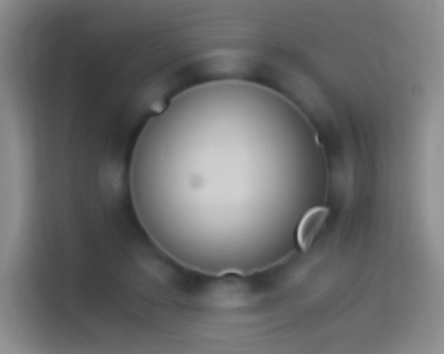 X0000114430403200910231238