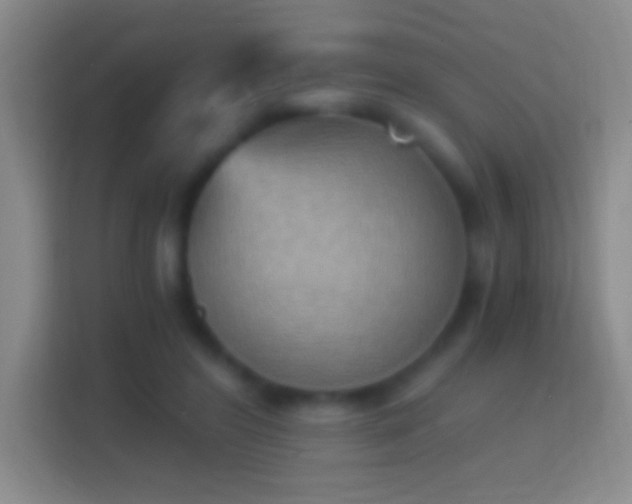 X0000114430404200910231238