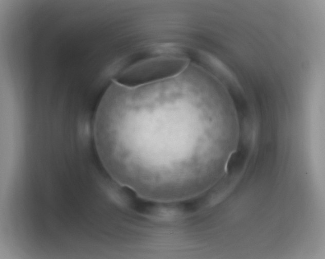 X0000114430405200910231238