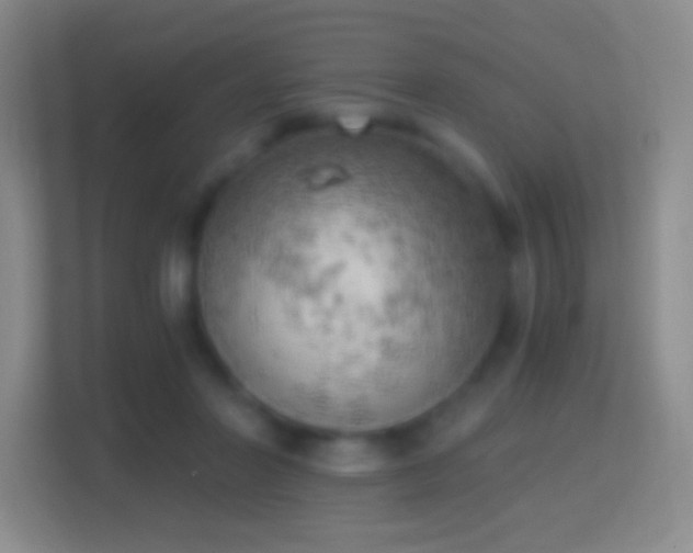 X0000114430406200910231238