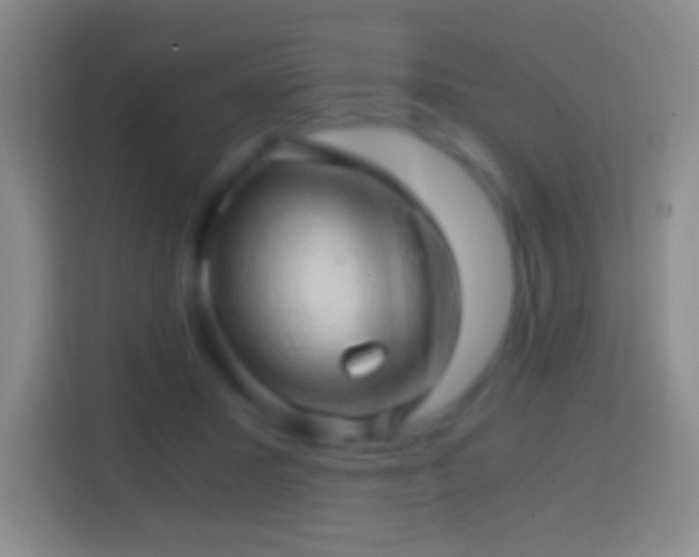 X0000114430407200910231238