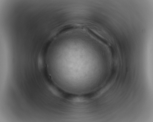 X0000114430408200910231238