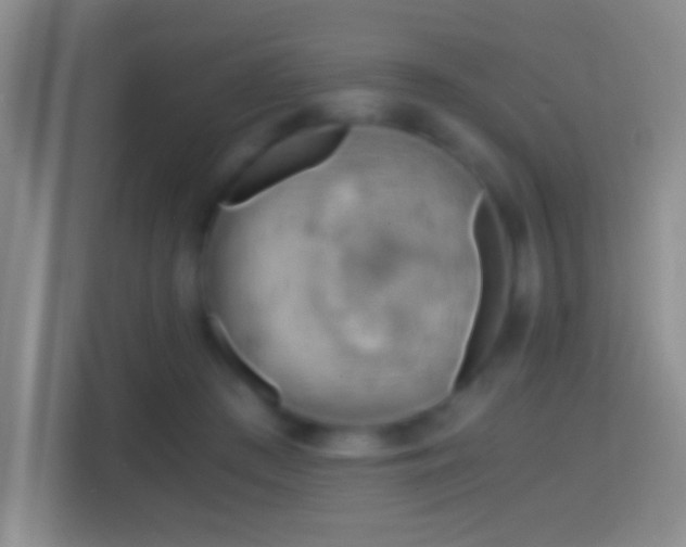 X0000114430409200910231238