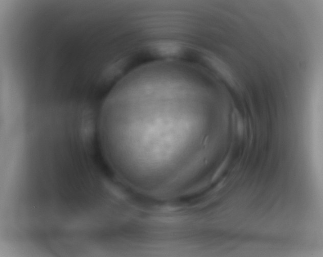 X0000114430412200910231237