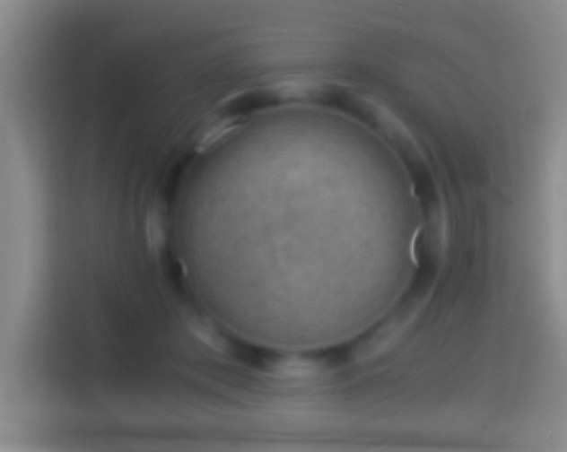 X0000114430413200910231237