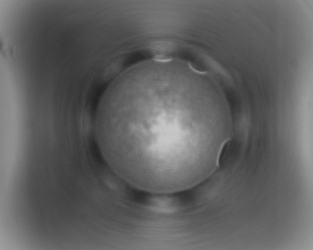 X0000114430417200910231237