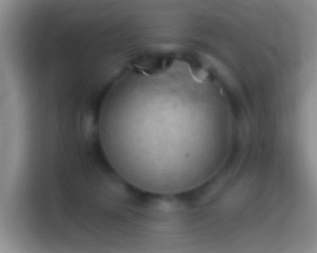 X0000114430420200910231237