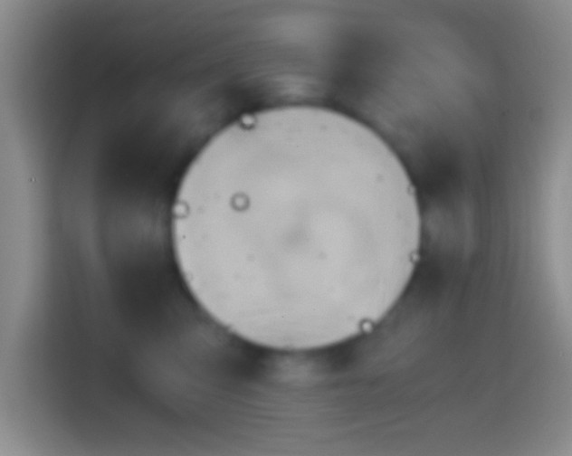 X0000114430423200910231237