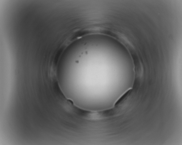 X0000114430425200910231237