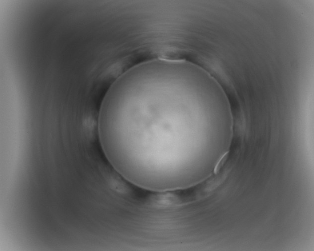 X0000114430427200910231237