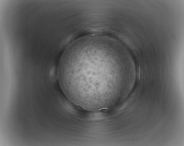 X0000114430428200910231237