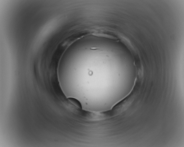 X0000114430429200910231237