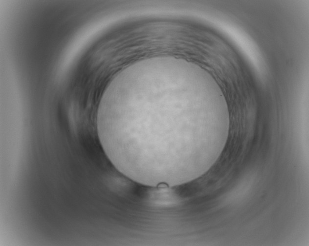 X0000114430431200910231237
