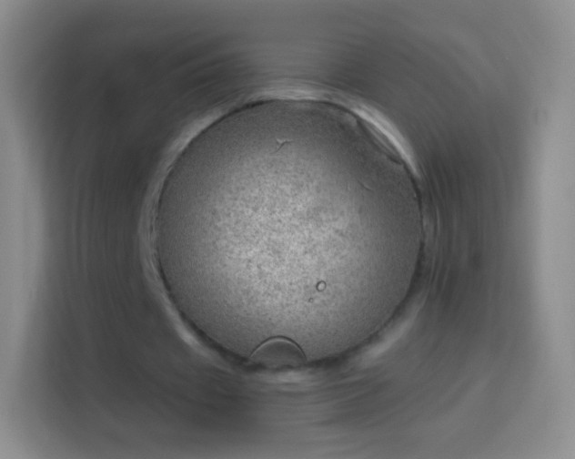 X0000114430433200910231237