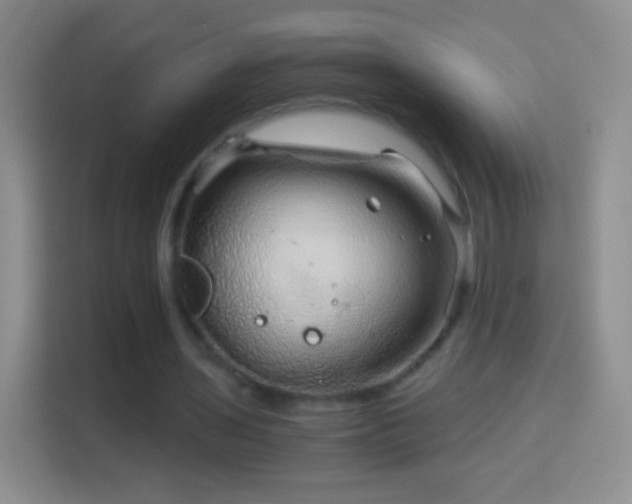 X0000114430435200910231237