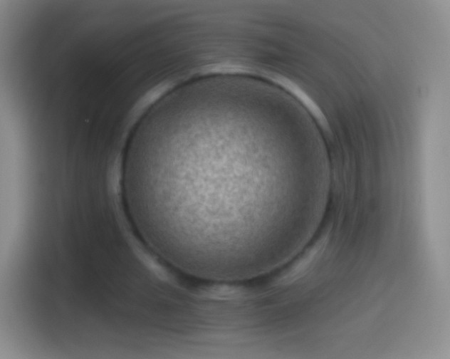 X0000114430437200910231237