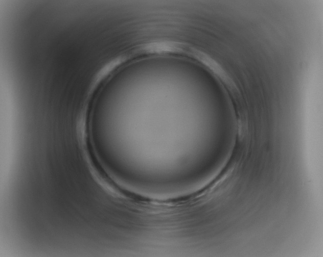 X0000114430438200910231237