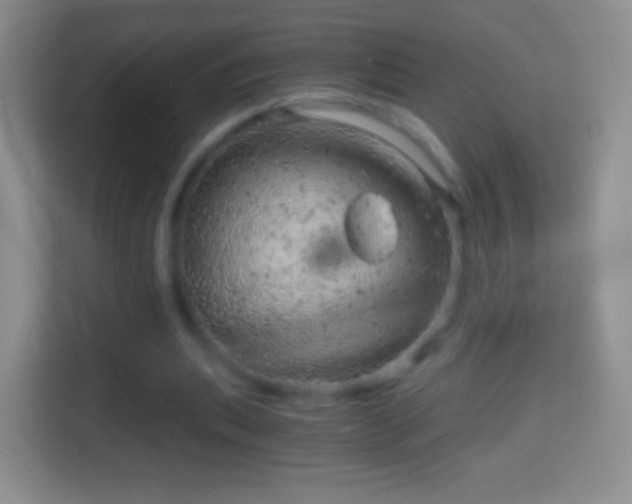 X0000114430439200910231237