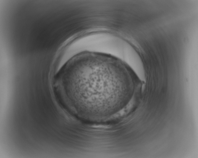 X0000114430440200910231237