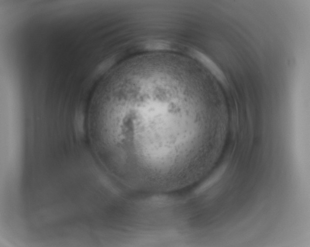 X0000114430441200910231237