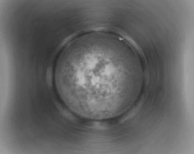 X0000114430442200910231237