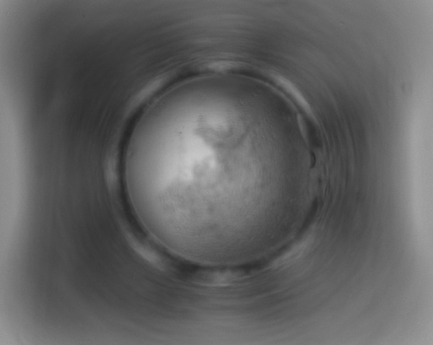 X0000114430443200910231237