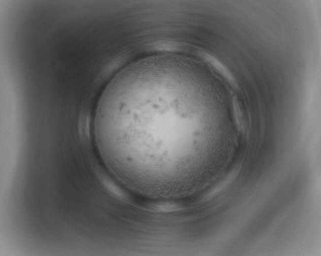 X0000114430445200910231237