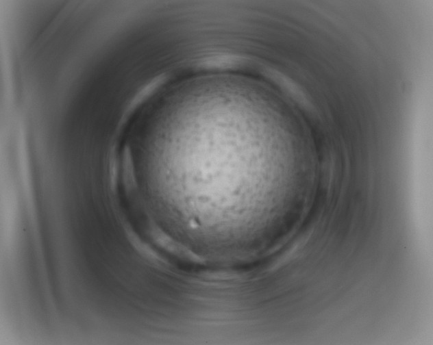 X0000114430446200910231237